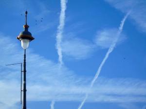 14483390_1236383149716462_1136058445_n