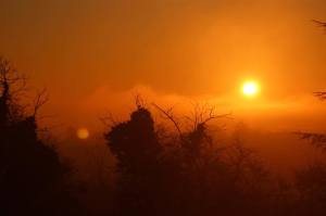 15910154_1337398169614959_2008445193_n