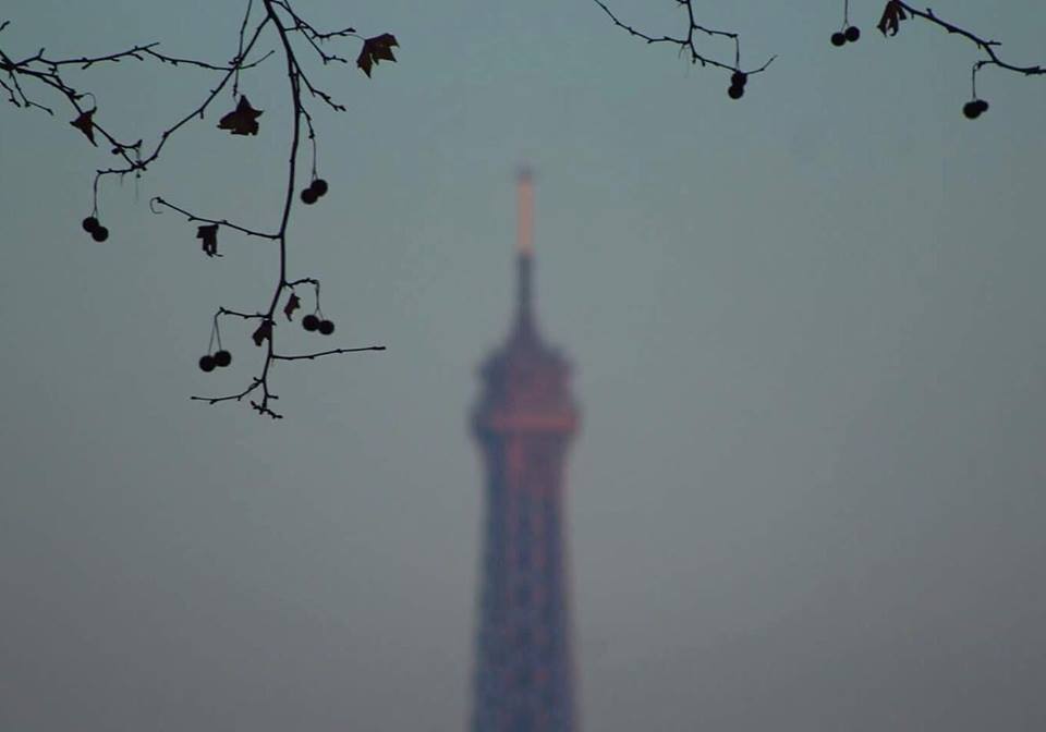 16780160_1374963599191749_966394168_n