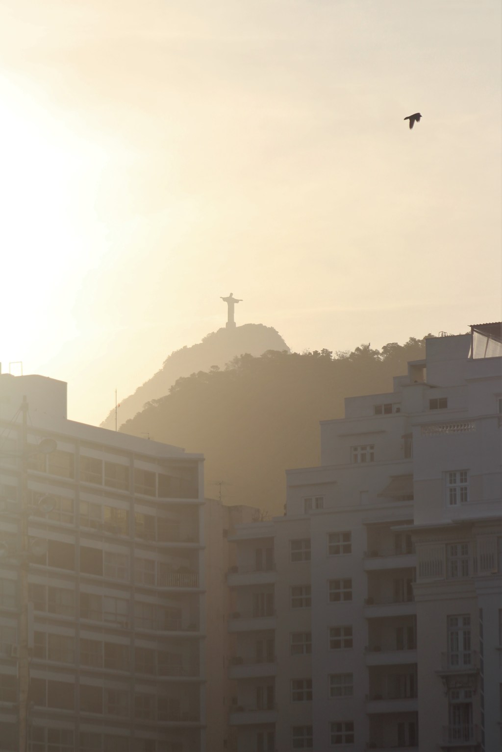 Top 11 Instagrams: August&nbsp;2017